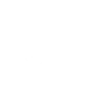 Rajasthan Royals